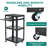 41'' H x 24'' W AV Cart with Wheels