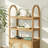 Eilisha Modern Arched Bookcase Cabinet with Reeded Doors-123402942