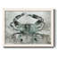 Crabe neutre II-138778796-138778798