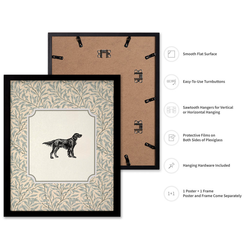 Setter irlandais, Black Framed, Poster, 08"H x 10"W