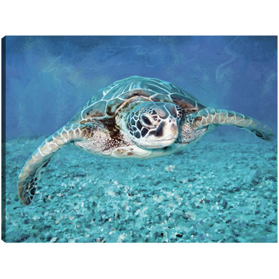 Reproduction d'art sur toile Sea Turtle par Studio Arts