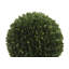 12" Artificial Boxwood Plant in Round Pot-553209785