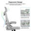 High Back Mesh Swivel Ergonomic Task Office Chair with Flip-Up Arms-925496783