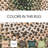 Chiem Cotton Geometric Indoor Rug-1941472493