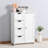 Bathroom Storage Cabinet, Floor Cabinet with Adjustable Shelf and Drawers