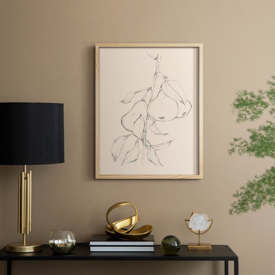 «Fruit Contour Study II»