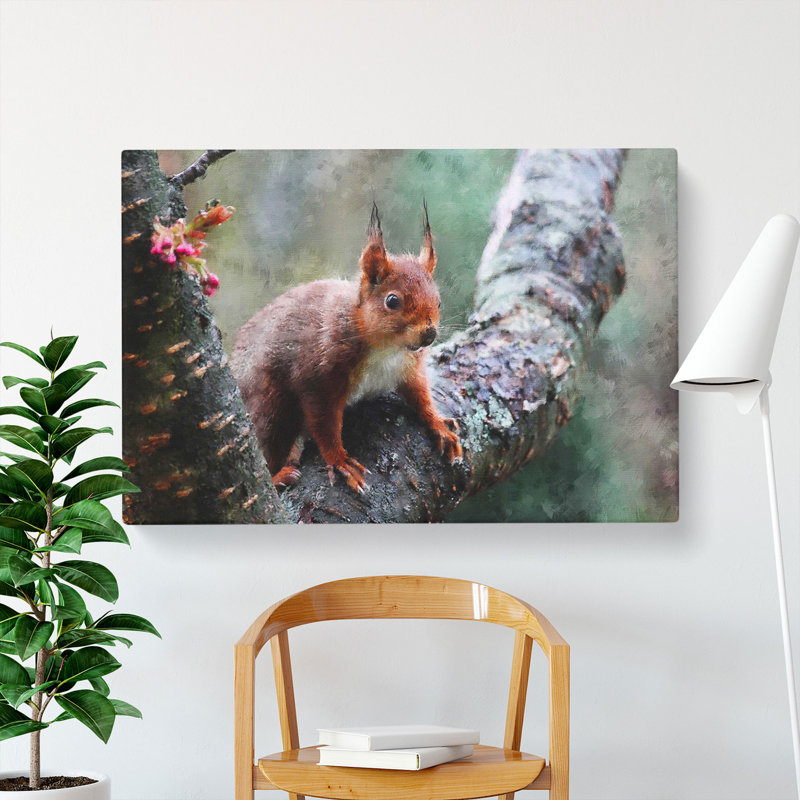 Red Squirrel Vol.1 - Wrapped Canvas Print, 35cm H x 50cm W x 3cm D