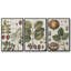 Ensemble de 3 cadres photo sur toile Antique Foliage and Fruit VI-97759108-97759109