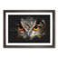 Great Horned Owl - Framed Print-56863010-56863015