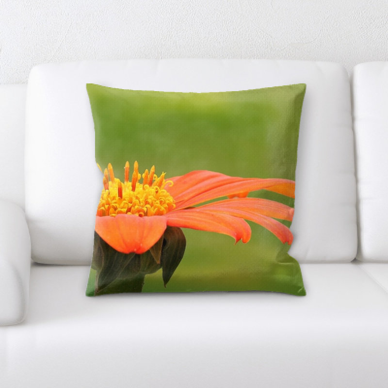 Coussin décoratif nature