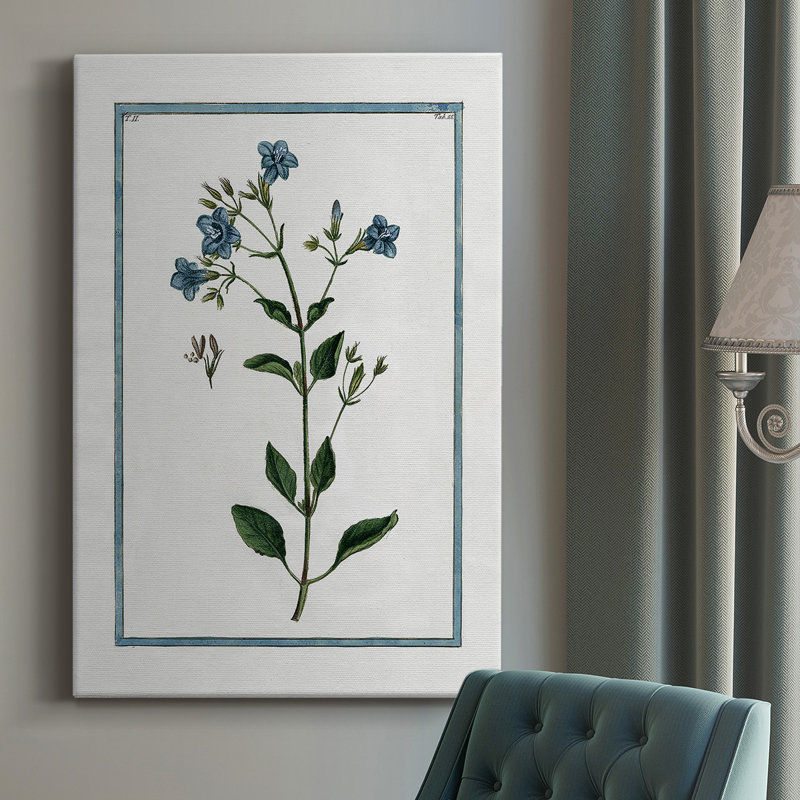 Shabby Elegance Botanical II - peinture sur toile tendue