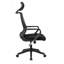 Chaise de bureau Davynn