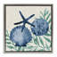 Coquilles Tampico dans un cadre flottant bleu, design par Paul Brent-893644002-893644003