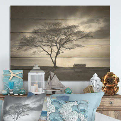 Coastal Solitude Tree Skyline - Coastal Port Wood Wall Art On Natural Pine Wood