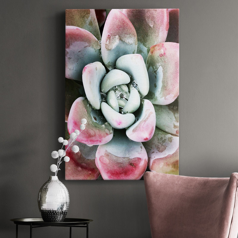 Pastel Succulent Beauty V - Photographie sur toile tendue, H 48 po x l 32 po x P 1,5 po