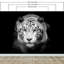 Panneau mural Tiger-235047940