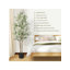 Olive Tree Artificial, with Natural Trunk & Black Pot-219855834