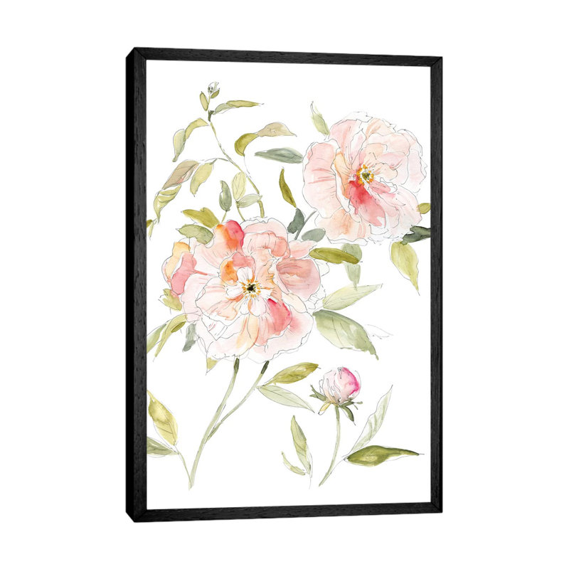 Sketchbook Cottage Rose II by Carol Robinson - Painting on Canvas, 66.04 cm H x 45.72 cm W, Black Framed