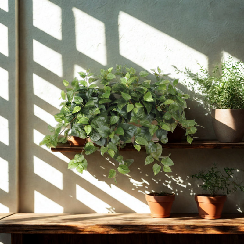 Faux pothos en rebord de bois blanchi