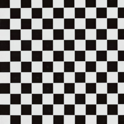 Carreau de mosaïque de plancher et de mur en porcelaine mate 8 po x 16 po Domino