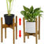 Horine Wood Plant Stand