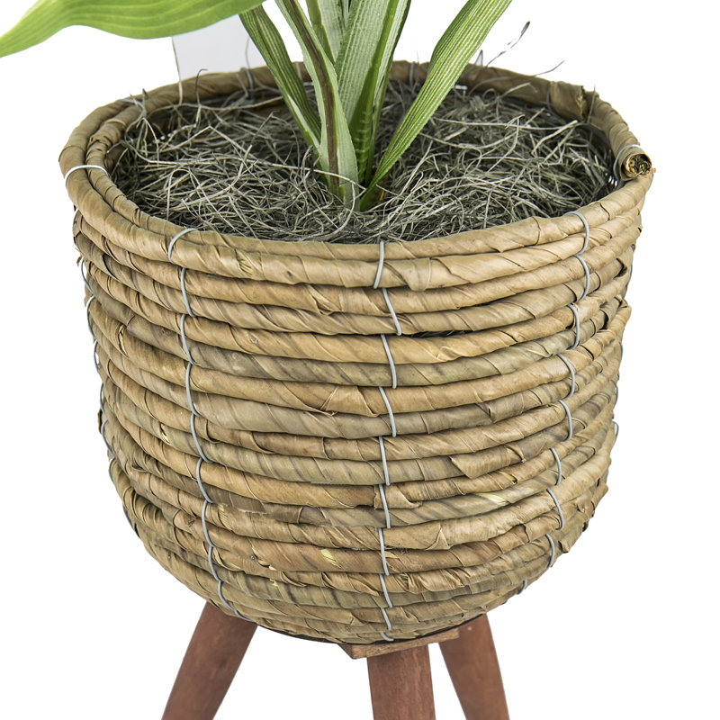 28'' Faux Hosta Plant in Basket
