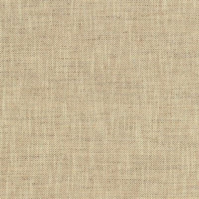 Parker Fabric