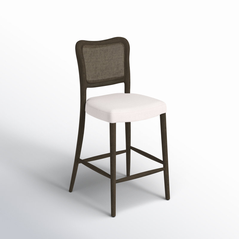 Erminia Orne 25'' Counter Stool