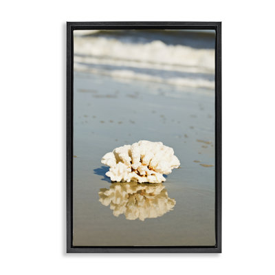 Coral on Sea Shore Brown Framed Floater Canvas by Susan Bryant