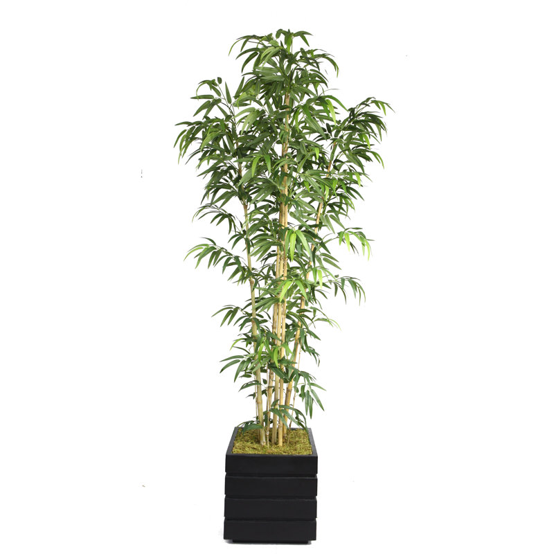 Bambou artificiel en pot 72 po Panama, Noir, Naturel