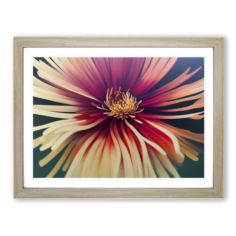 Chrysanthemum Flower Vol.2 - Framed Print, 25cm H x 34cm W x 2cm D, Oak