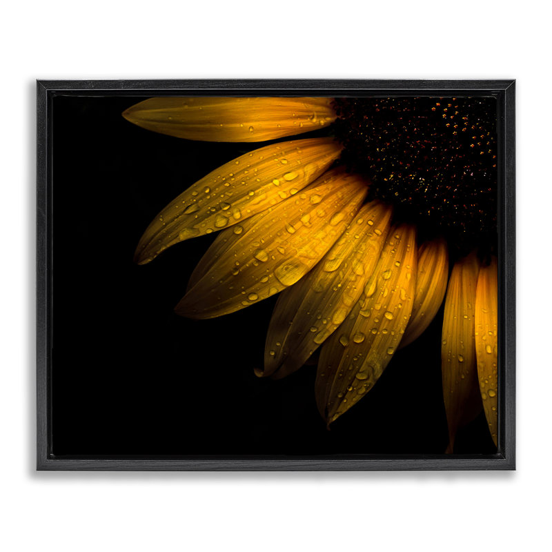 Gouttelettes d'eau sur un cadre flottant tournesol, design par Brian Carson, Cadre flottant noir de jais, H 17 po x l 21 po