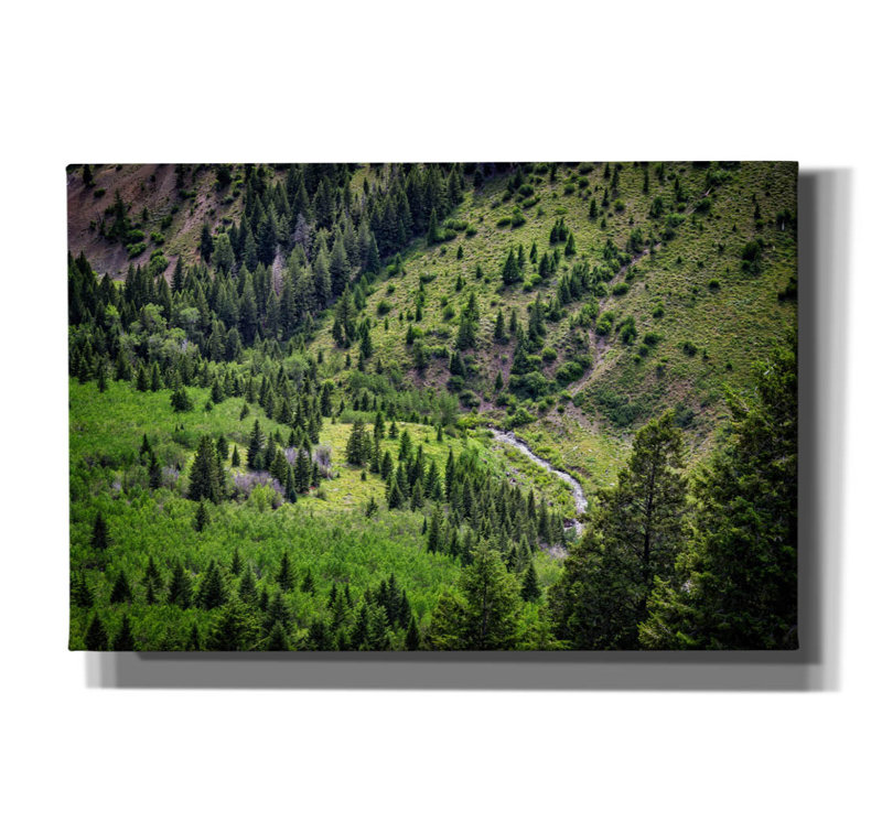 Toile épique Graffiti «Sun Valley» par Rick Berk, 60 po x 40 po