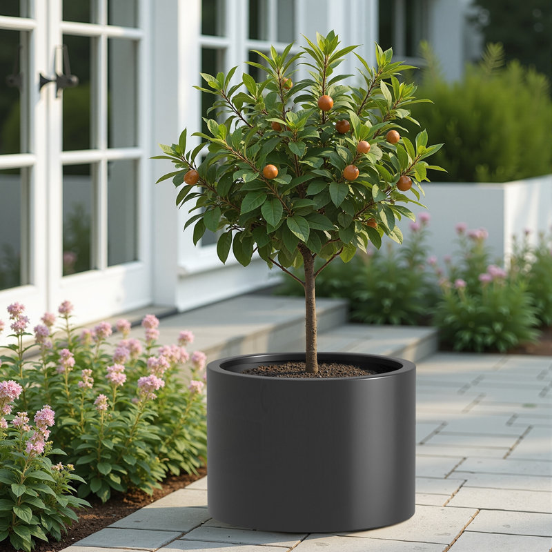 Ensemble de lit de jardin surélevé rustique durable pour diverses plantes, H 15,50 po x l 20 po x P 15,50 po, Noir