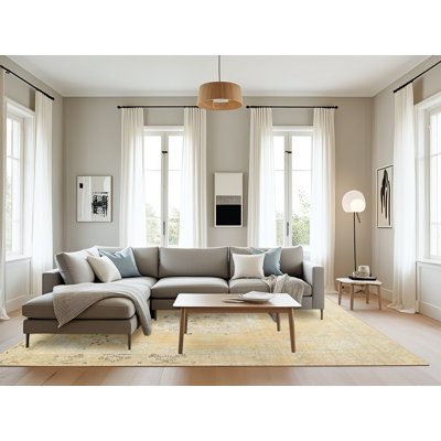 Barin Oriental Indoor Rug