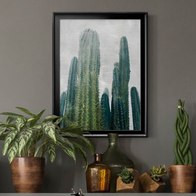 " Aruba Cacti I "