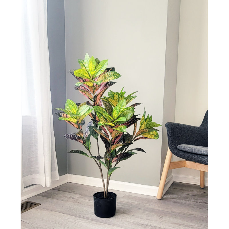 Real touch Artificial Croton Tree in Pot, 36" H x 22" W x 22" D