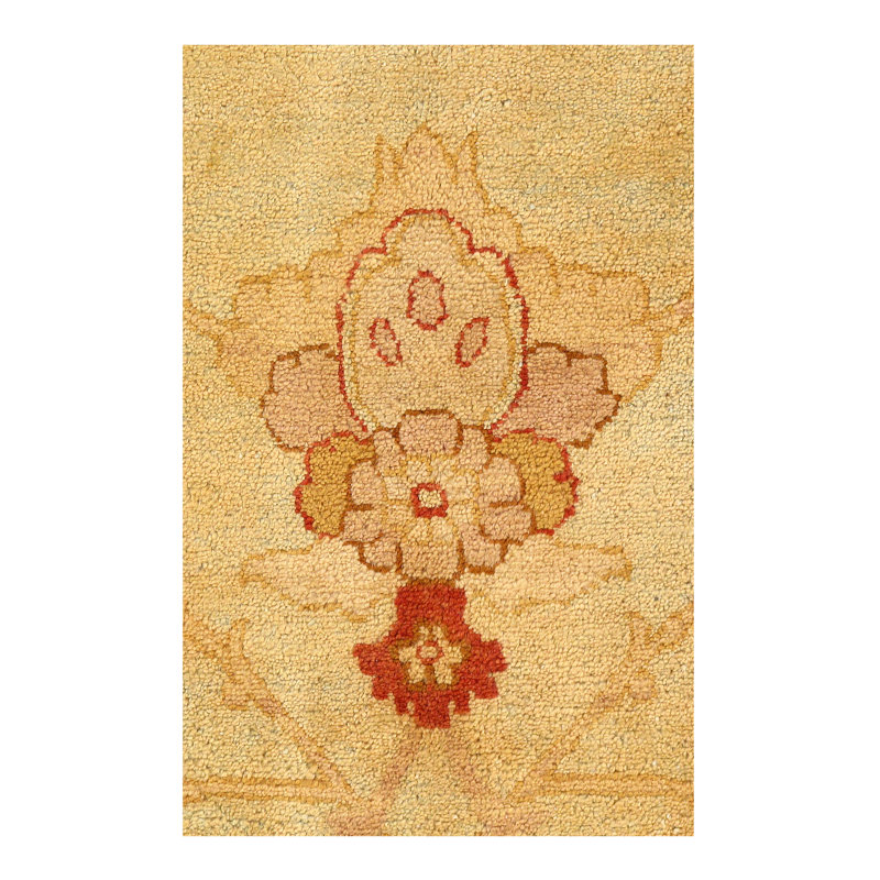 Tapis unique de 12 pi x 18 pi beige / rouge noué à la main Agra