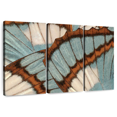 Ailes de papillon bleu-brun