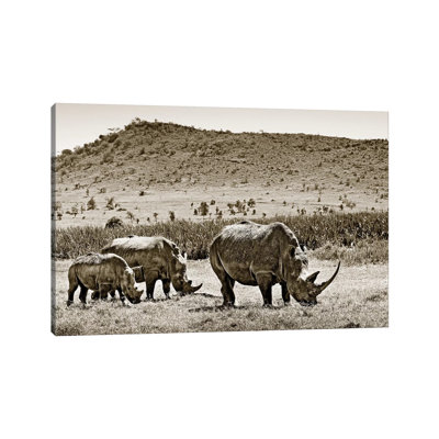 Peaceful Rhinos by Klaus Tiedge - Wrapped Canvas Print