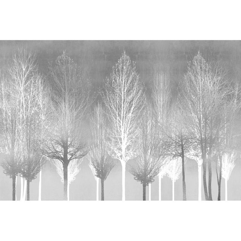 Treeline by Kate Bennett - Wrapped Canvas Print, 30cm H x 46cm W