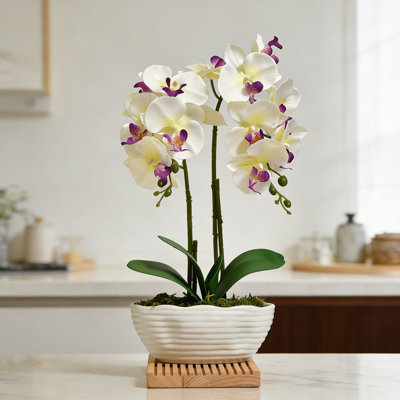 Lifelike Artificial Silk Orchid Plant In Ceramic Vase, Large White Phalaenopsis Flower Arrangement For Home And Event Decor