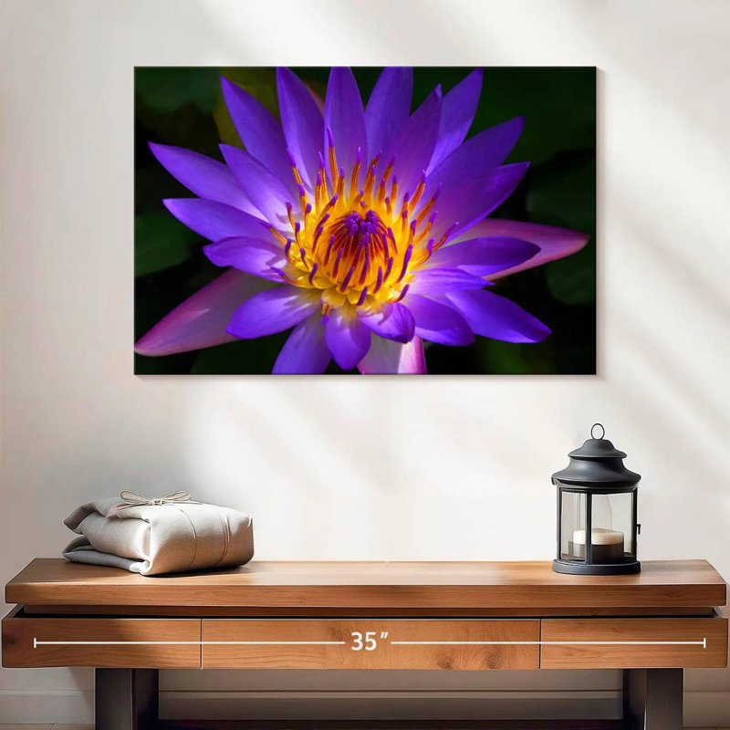 Harnek Hawaiian Water Lily, H 16 po x l 24 po