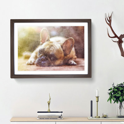 Fawn French Bulldog Dog - Framed Print