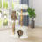 Real Branch Cat Tree With Condo And Climbing Perches