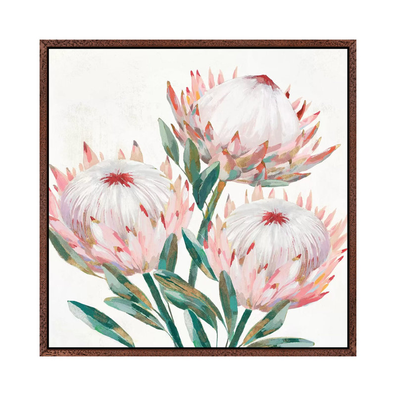 King Protea II by Isabelle Z - Painting on Canvas, Classic Brown Wood Framed, 45.72 cm H x 45.72 cm W