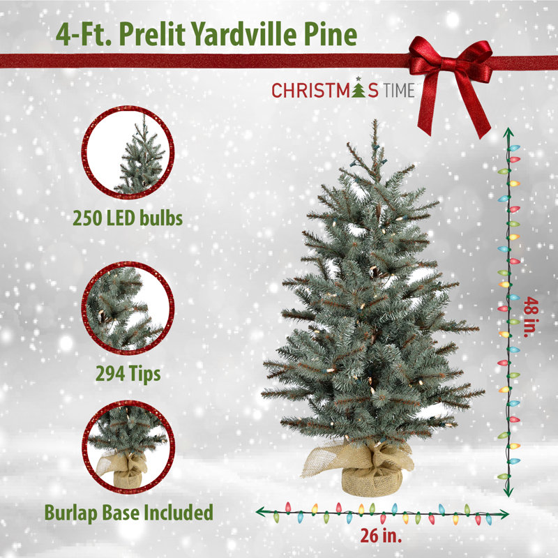 Lighted Pine Christmas Tree, 4' H