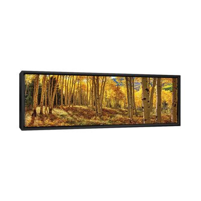 «Autumn Aspen Colorado Forest Panorama», reproduction de photo panoramique sur toile