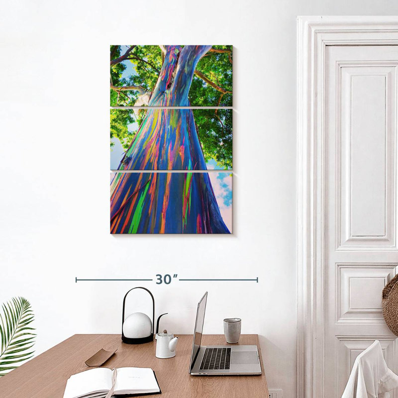 Harnek Oahu Rainbow Eucalyptus Tree, 32" H x 20" W
