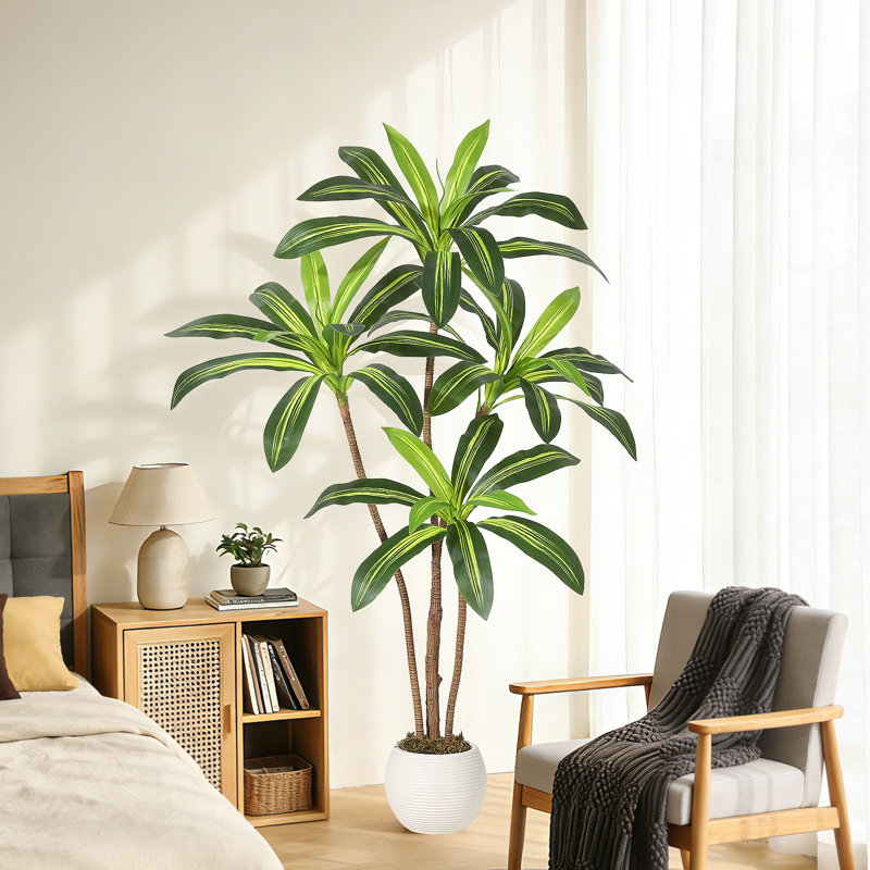 Plant, 150 cm x 22 cm